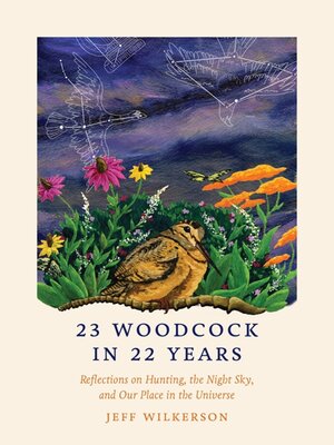cover image of 23 Woodcock in 22 Years